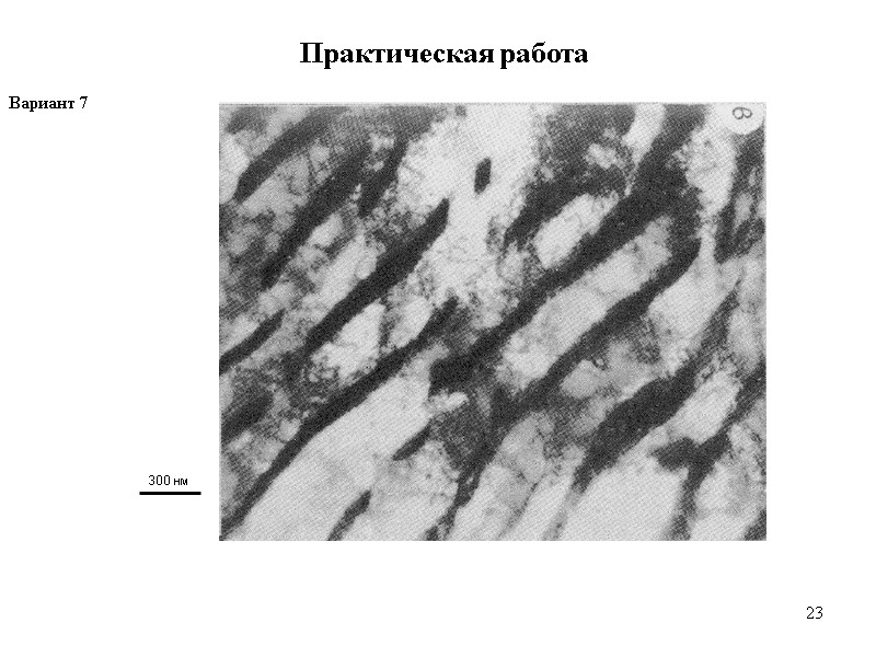 23 23 Практическая работа Вариант 7  300 нм